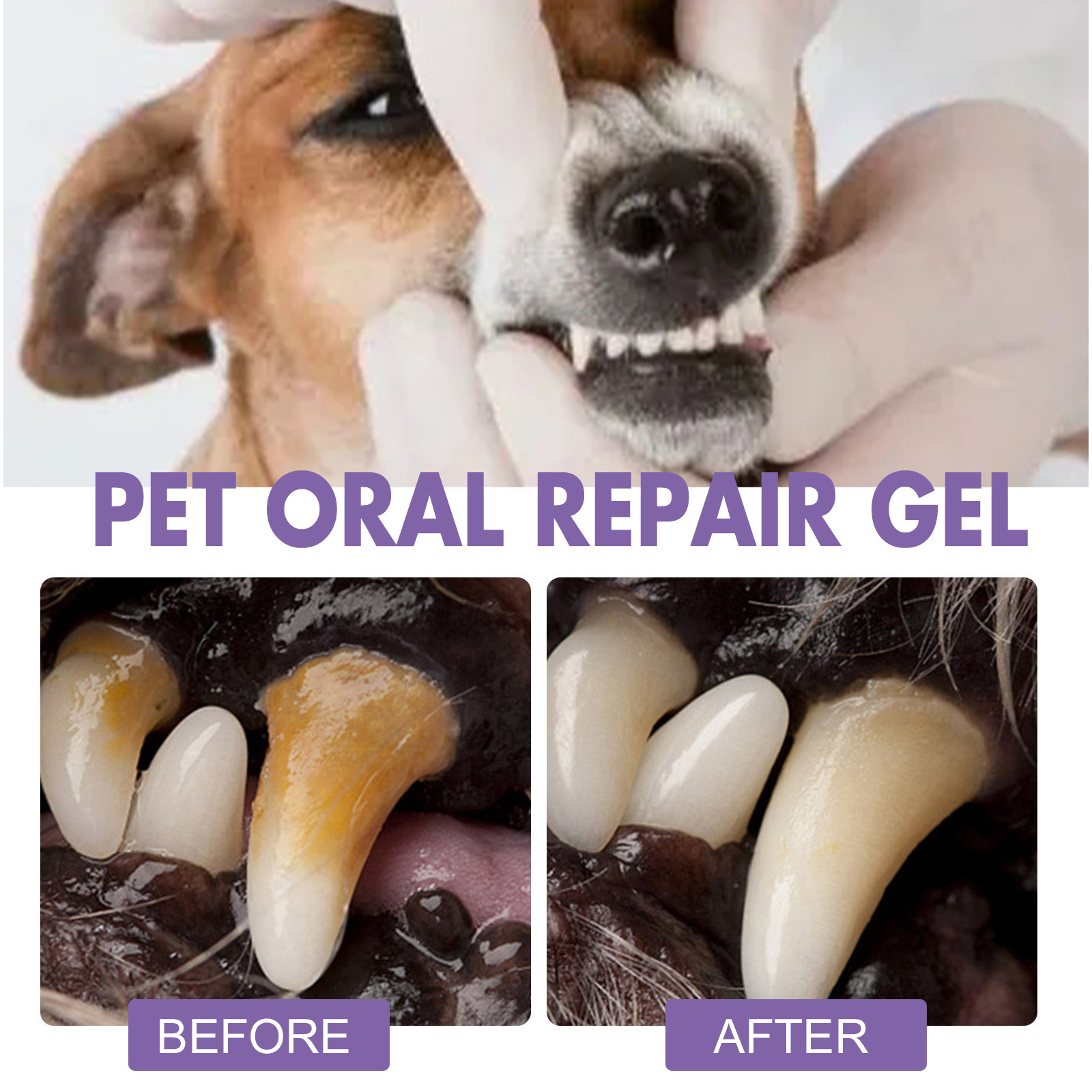 애완 동물 구강 수리 젤 강아지 타르타르 제거 냄새 제 - Teeth Whitening Gel Peroxide 리뷰 및 가격