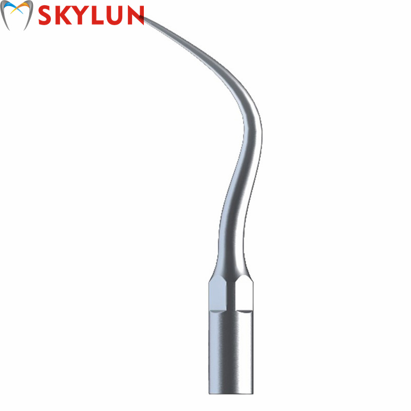 5PCS P4 치과용 초음파 스케일러 팁 치아 미백용  - Teeth Whitening Professional 리뷰 및 가격