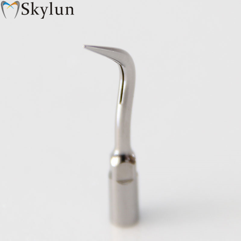 5PCS P4 치과용 초음파 스케일러 팁 치아 미백용  - Teeth Whitening Professional 리뷰 및 가격